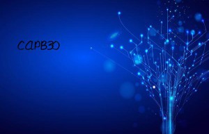 capb30