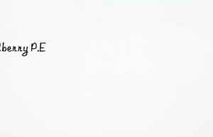 bilberry p.e