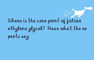 where is the core point of future ethylene glycol?  hear what the experts say