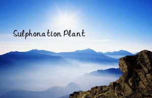 sulphonation plant