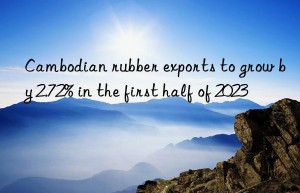 cambodian rubber exports to grow by 2.72% in the first half of 2023
