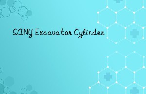 sany excavator cylinder
