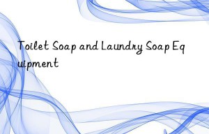 toilet soap and laundry soap equipment