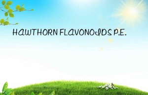 hawthorn flavonoids p.e.