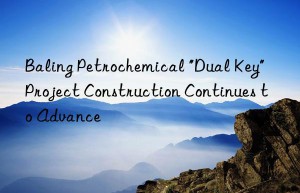 baling petrochemical “dual key” project construction continues to advance