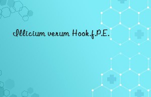 illicium verum hook.f.p.e.
