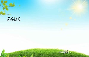 egms