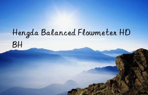 hengda balanced flowmeter hdbh