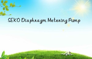 seko diaphragm metering pump