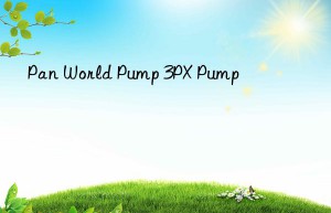 pan world pump 3px pump