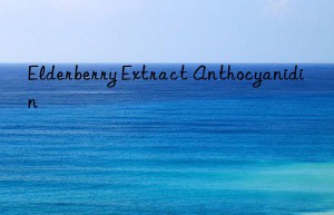 elderberry extract anthocyanidin