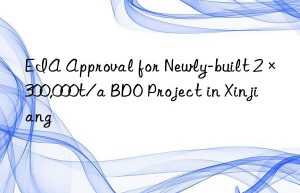 eia approval for newly-built 2×300,000t/a bdo project in xinjiang