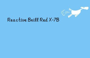 reactive brill red x-7b