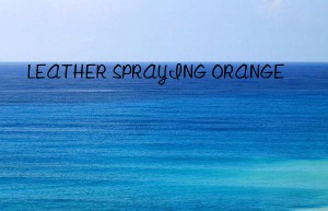 leather spraying orange