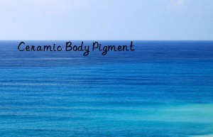 ceramic body pigment