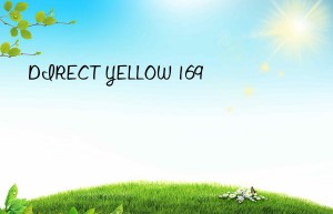 direct yellow 169