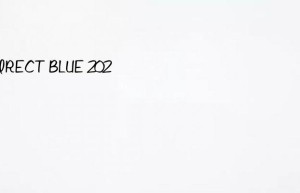 direct blue 202