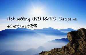 hot selling  usd 18/kg  grape seed extract95%
