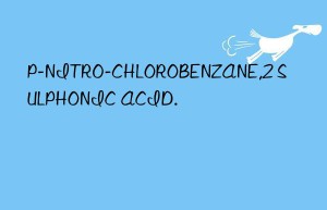p-nitro-chlorobenzane,2 sulphonic acid.