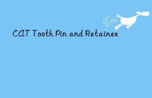 cat tooth pin and retainer