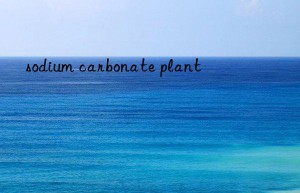 sodium carbonate plant