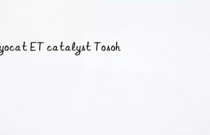 toyocat et catalyst