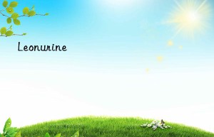 leonurine