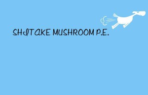 shitake mushroom p.e.