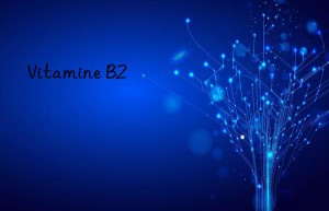 vitamine b2