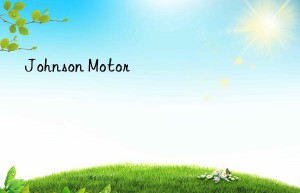 johnson motor