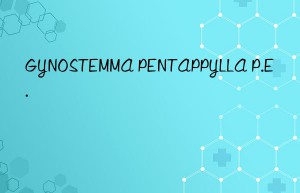 gynostemma pentappylla p.e.