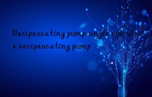 reciprocating pump single cylinder reciprocating pump