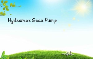 hydromax gear pump