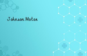 johnson motor
