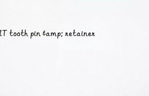 cat tooth pin & retainer