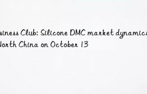 business club: silicone dmc market dynamics in north china on october 13