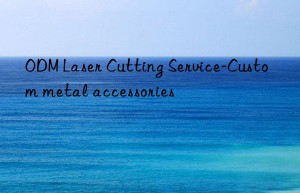 odm laser cutting service-custom metal accessories