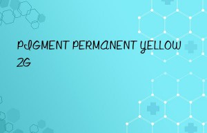 pigment permanent yellow 2g