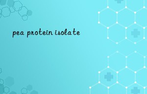 pea protein isolate