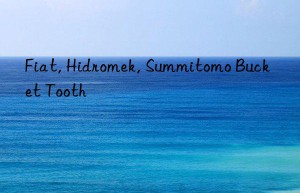 fiat, hidromek, summitomo bucket tooth