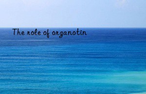 the role of organotin