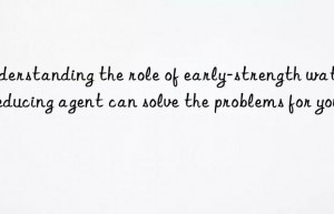 understanding the role of early-strength water-reducing agent can solve the problems for you