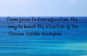 from focus to diversification  the way to break the situation of the chinese  hidden champion