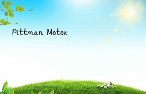 pittman  motor