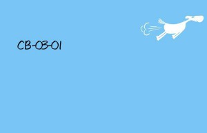 cb-03-01