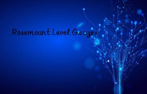 rosemount level gauges