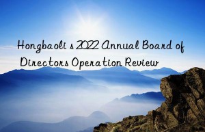 hongbaoli s 2022 annual board of directors operation review