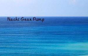 nachi gear pump