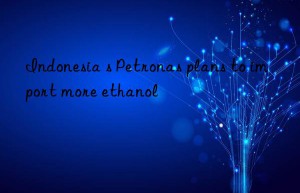 indonesia s petronas plans to import more ethanol