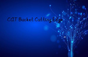 cat bucket cutting edge
